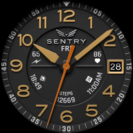 BLZ SENTRY – Field Watch Face screenshot