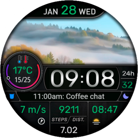 CFS145 Weather Window screenshot