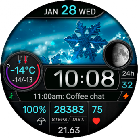 CFS145 Weather Window screenshot