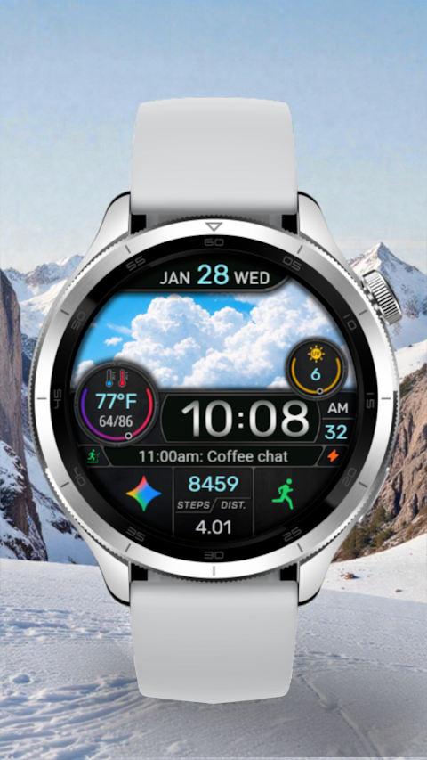 CFS145 Weather Window screenshot