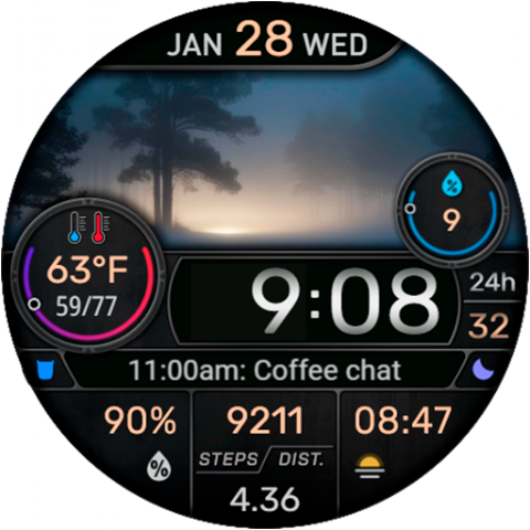 CFS145 Weather Window screenshot