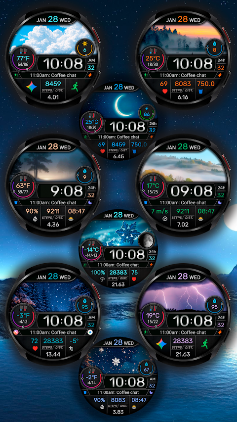 CFS145 Weather Window screenshot