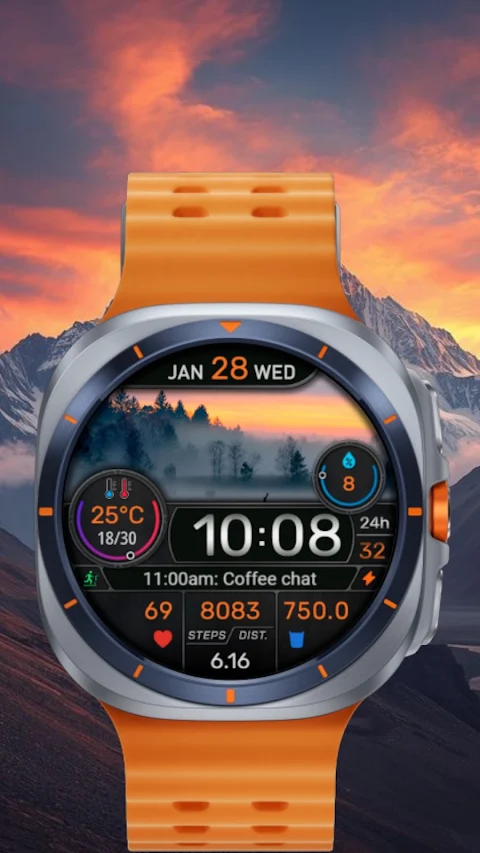 CFS145 Weather Window screenshot