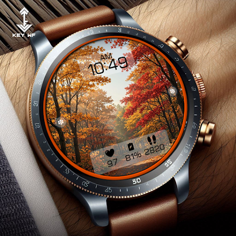 Autumn Forest Watch Face N006 screenshot