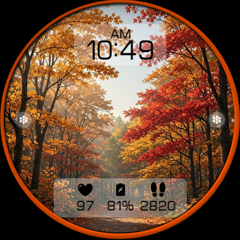Autumn Forest Watch Face N006 screenshot