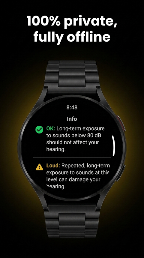 Decibel Meter: Wear OS screenshot